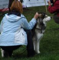 /album/fotogaleria-handling/ch-cauna-cea-miagorpok-jpg/